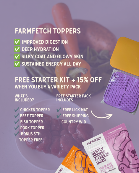 5 Meal Topper