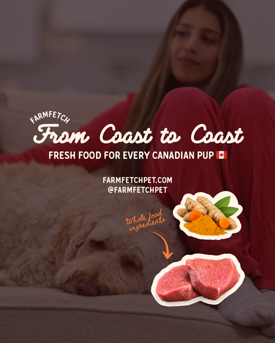 From Coast to Coast