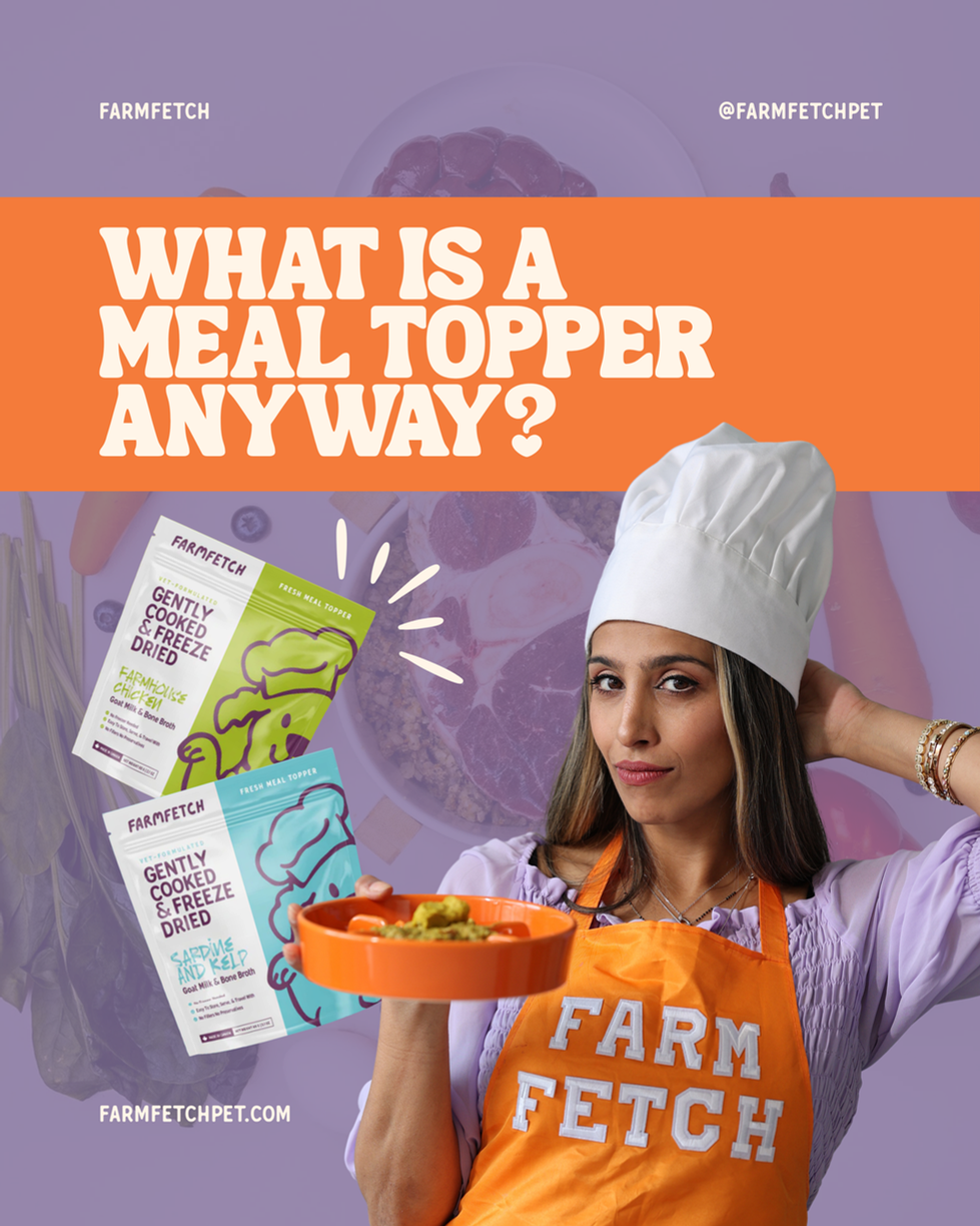 1 Meal Topper