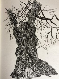 Cathy Woodhead