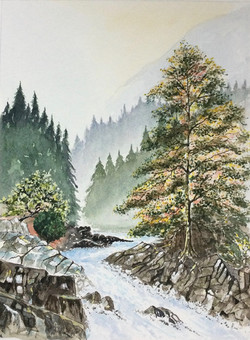 Roy Cooper 1