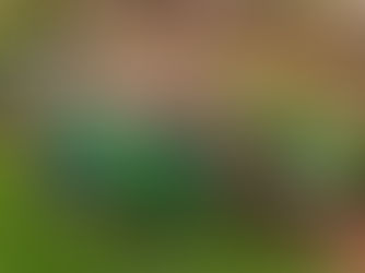 2025 SEASONAL CLEAN-UP SCHEDULE FOR VILLAGE RESIDENTS