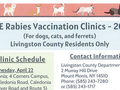 FREE RABIES VACCINATION CLINICS FOR 2026