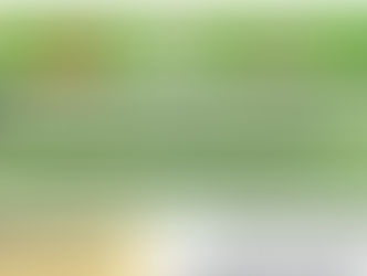 FREE RABIES VACCINATIONS 2025 FOR DOGS, CATS AND FERRETS