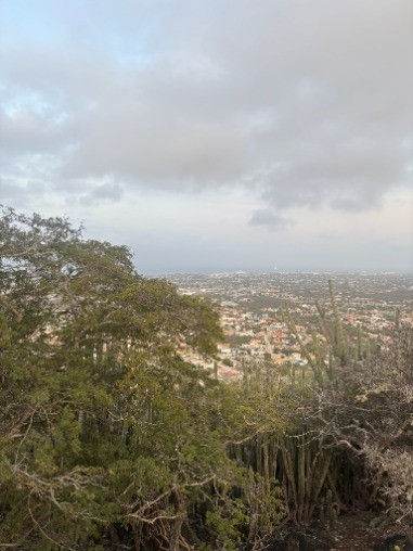 Picture46