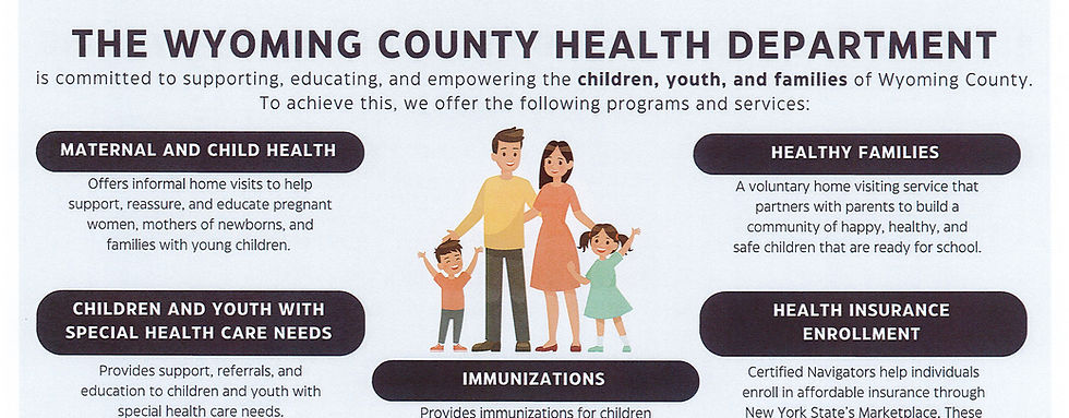 THE WYOMING COUNTY HEALTH DEPARTMENT