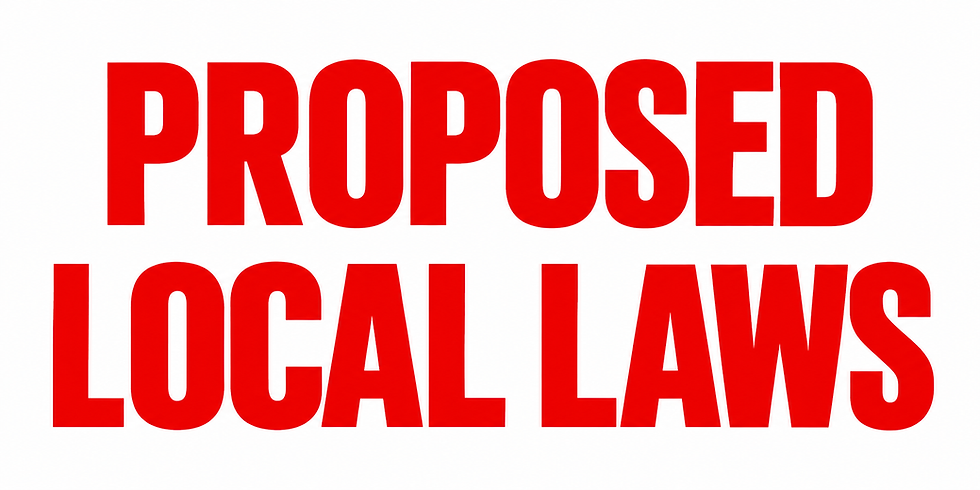 PROPOSED LOCAL LAWS 2 & 3 OF 2026