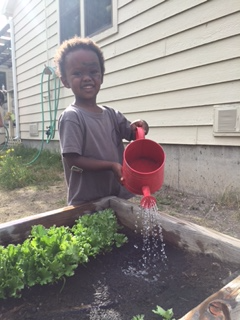 A Park Ranger Waters the Garden