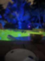IMG_2831.jpeg