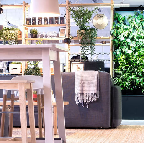 The Mindful Office Design for Employee Well-Being 