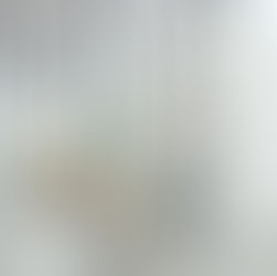 Privacy in the Workplace 