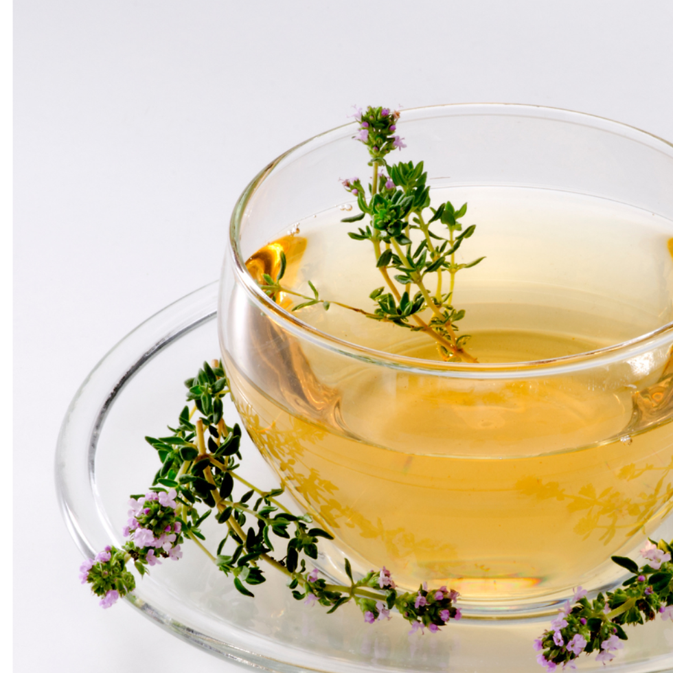 Timo Limone: l’aromatica variegata dal tocco fresco e decorativo