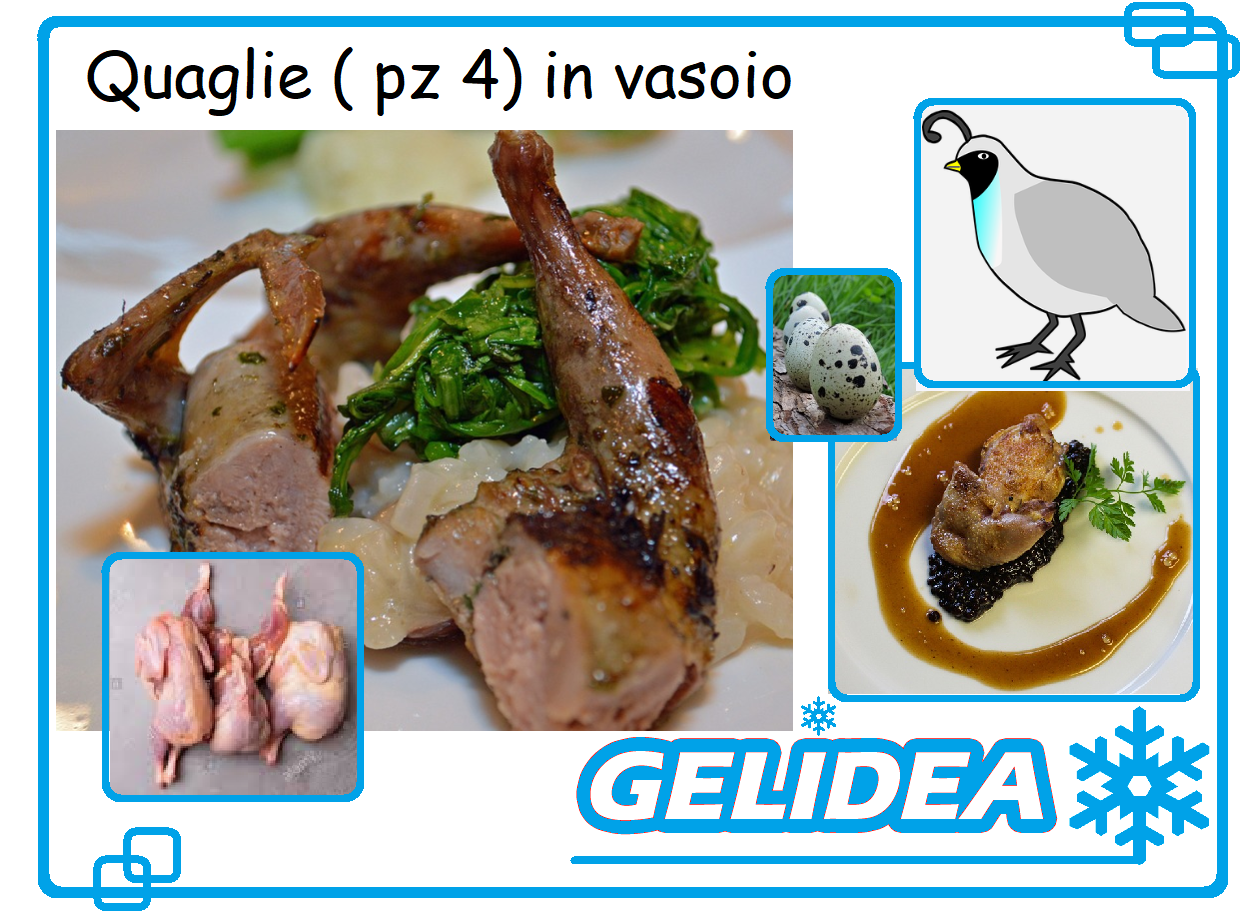 Quaglie ( pz 4) in vasoio