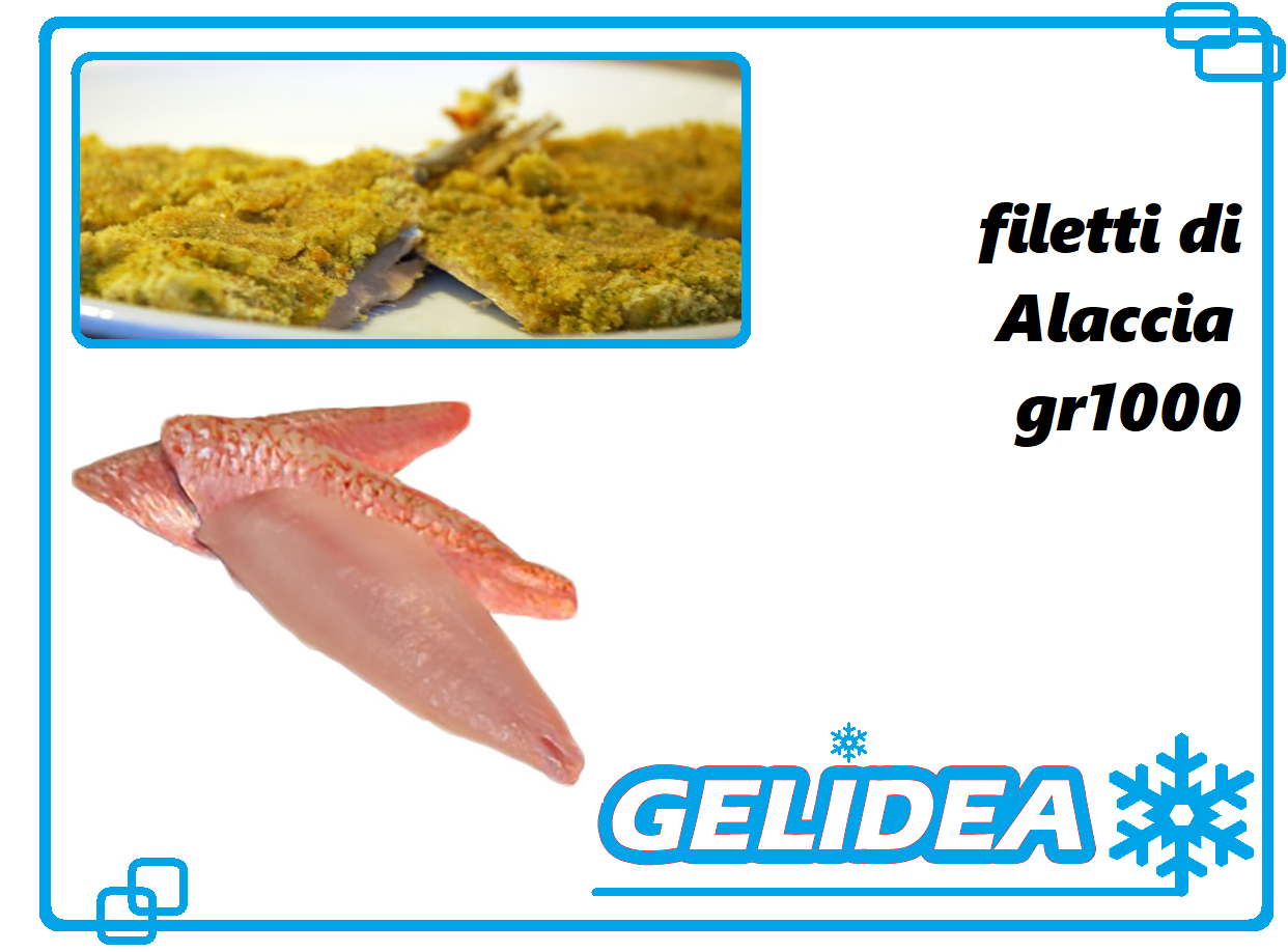Filetti di Alaccia gr. 1000