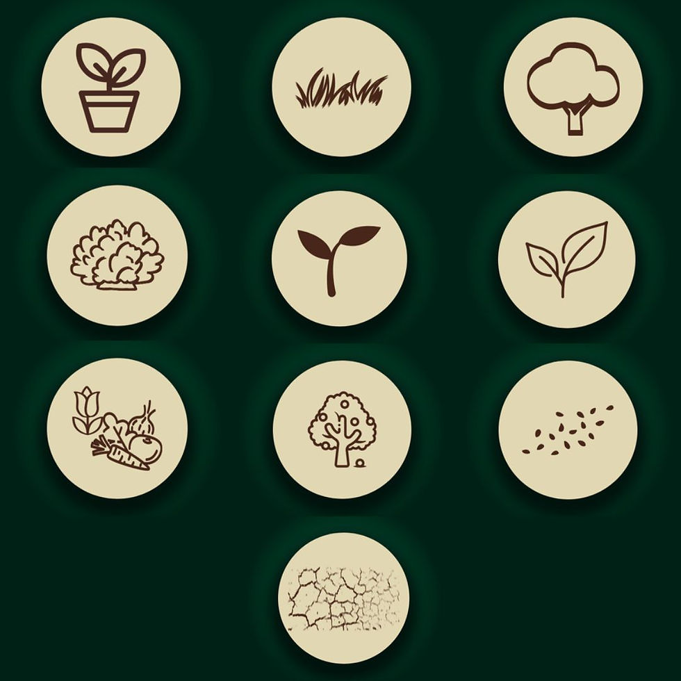 Miniatura: Humus di Lombrico il Raffinato concime raffinato da letame bovino Bio 8.2 lt 4.5kg LA TERRA DI GAIA 0012  EAN: 8058640830008