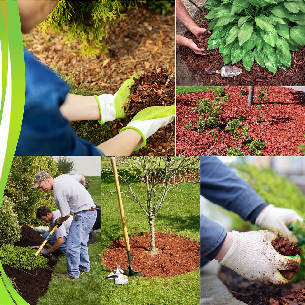 Miniatura: Terriccio Linea decorazione Vulcan Decor Red  Lapillo vulcanico decorativo  Vigorplant