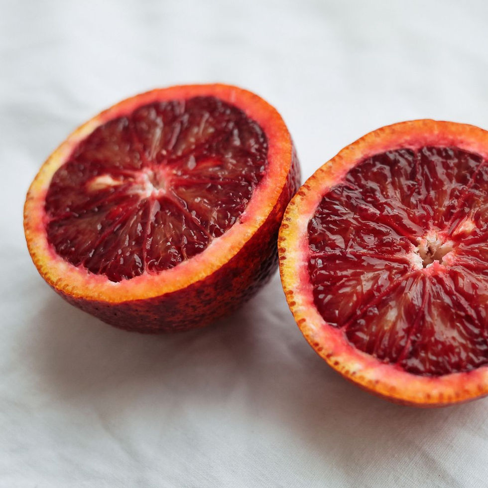 Miniatura: Agrumi - Arancio Moro pianta da frutto