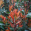 Miniatura: Photinia Compatta pianta da siepe