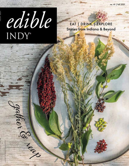 EI41 cover final.pdf.JPEG