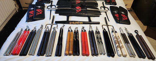 Myke Macino Founder of Way of the Dragon Martial Arts.jpg