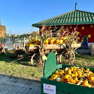 Kürbishof Wunderlich Waagen mit Kürbissen