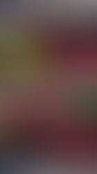 Warum unser Salatbeutel ein echter Gamechanger ist – für dich, dein Gemüse & deine Kaninchen ✨