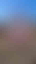 Kürbishof Wunderlich Erbeerhof