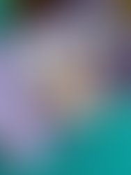 Salatbeutel für Kaninchenbesitzer