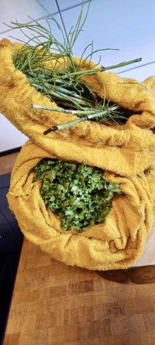 Salatbeutel für Kaninchenbesitzer