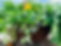 IMG_2665.jpeg