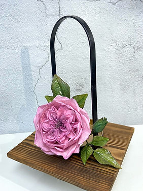 David Austin Rose.jpeg