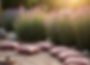 Past Retreats-Past Retreats-1_edited.jpg