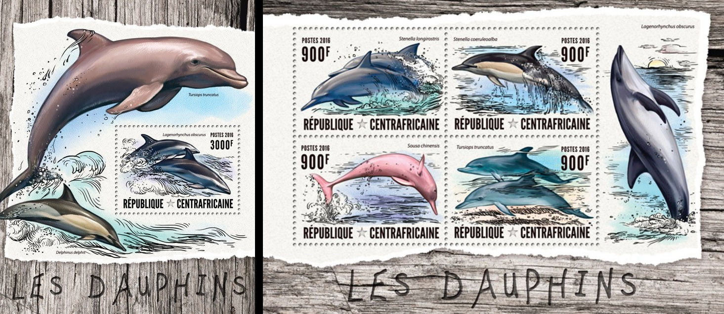 ЦАР 2016, Фауна Дельфіни