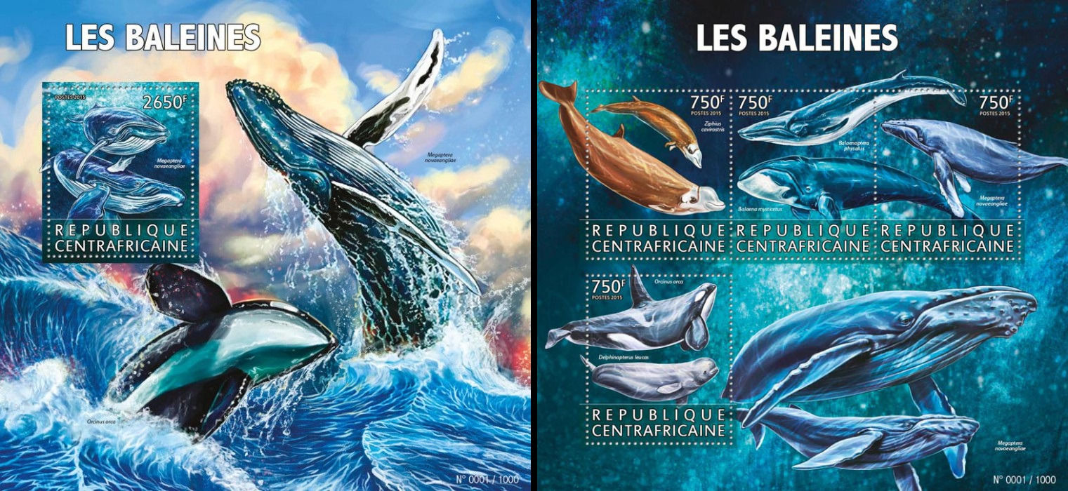 ЦАР 2015, Фауна, Кити