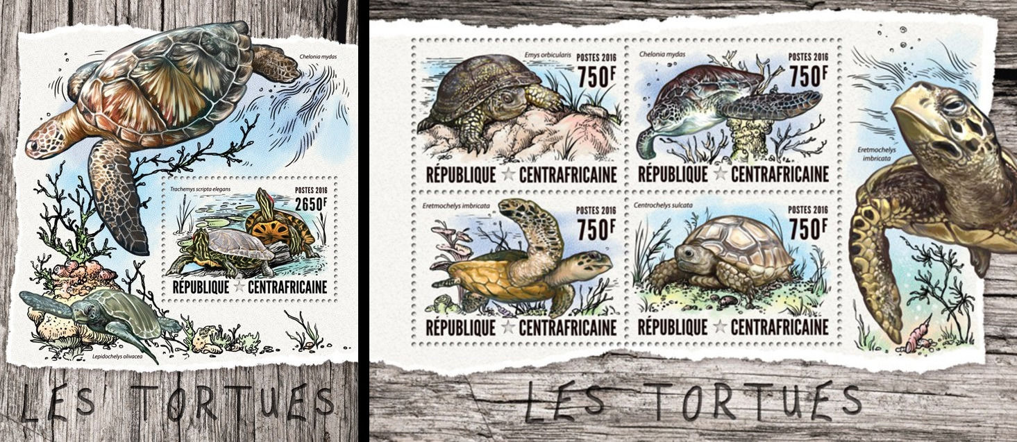 ЦАР 2016, Фауна Черепахи