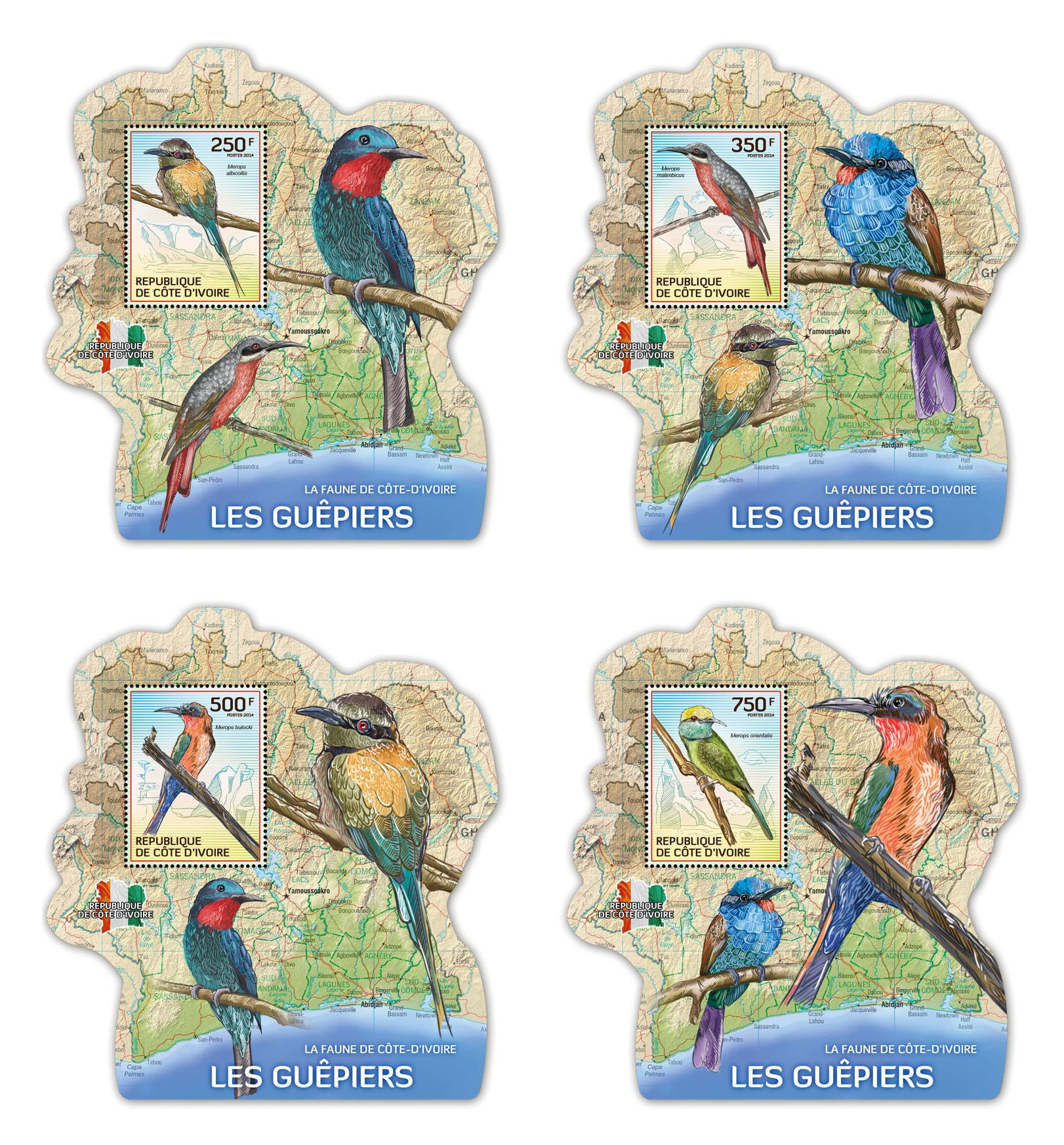 Кот-д'Івуар 2014, Фауна, Птахи