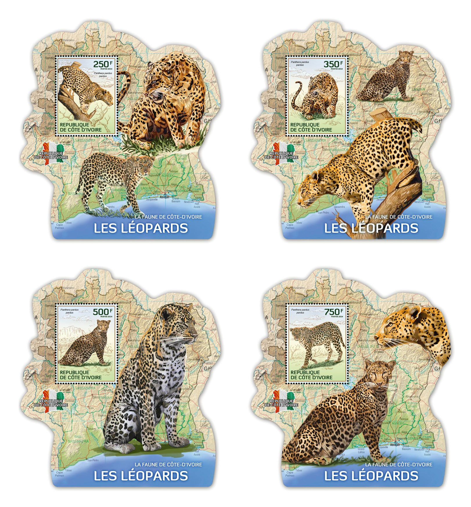 Кот-д'Івуар 2014, Фауна, Леопарди