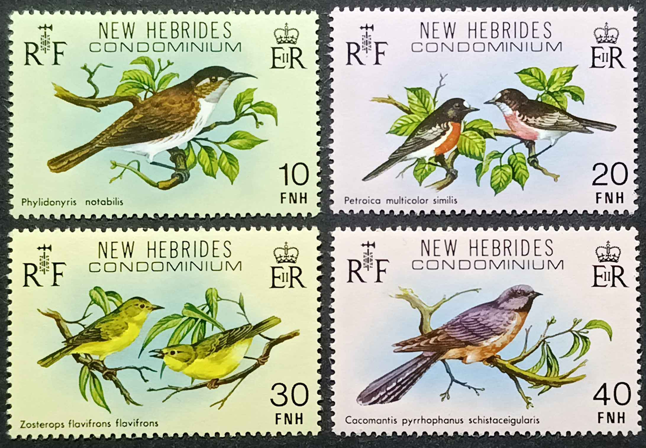 Нові Гебриди 1980, Птахи, Mi 553-556, MNH