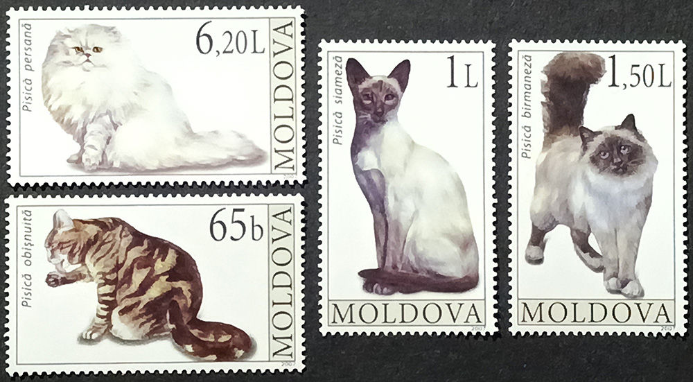 Молдова 2007, Коти, MNH