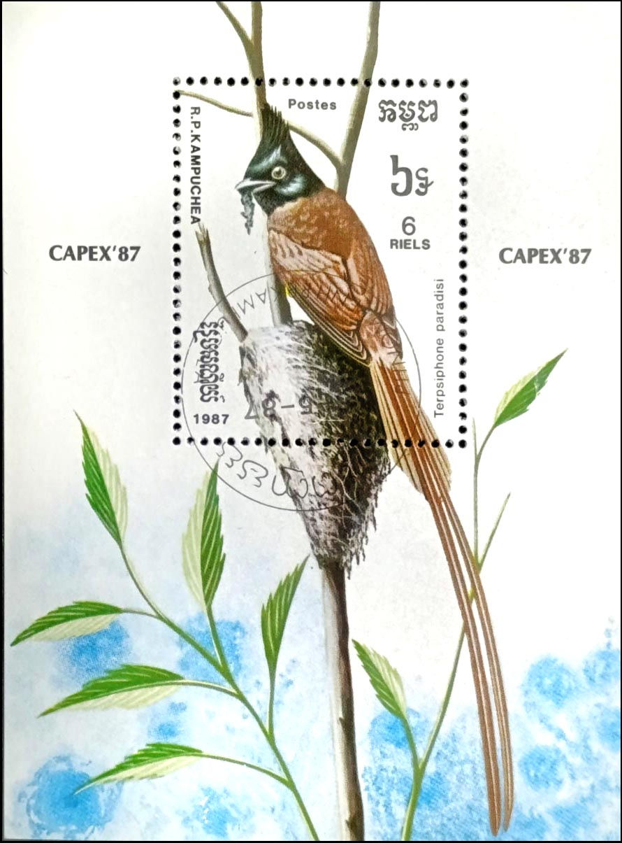 Камбоджа 1987, Птахи