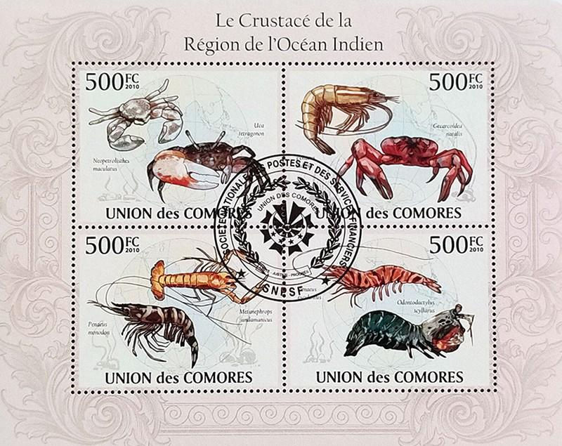 Комори 2010, Молюски