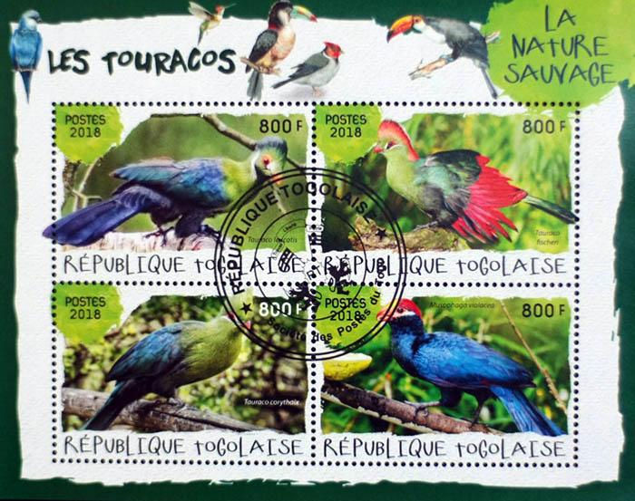 Того 2014, Птахи