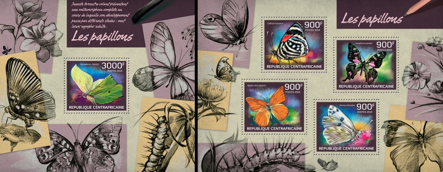 ЦАР 2014, Фауна Метелики