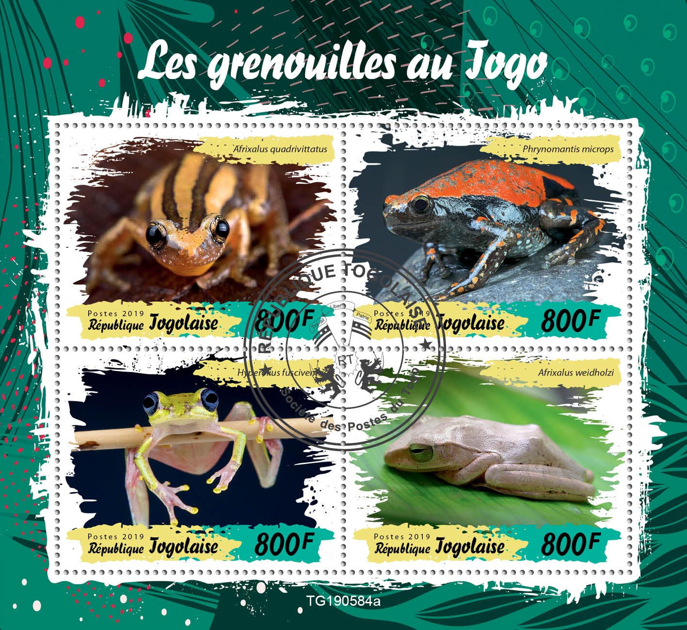 Того 2019, Жаби