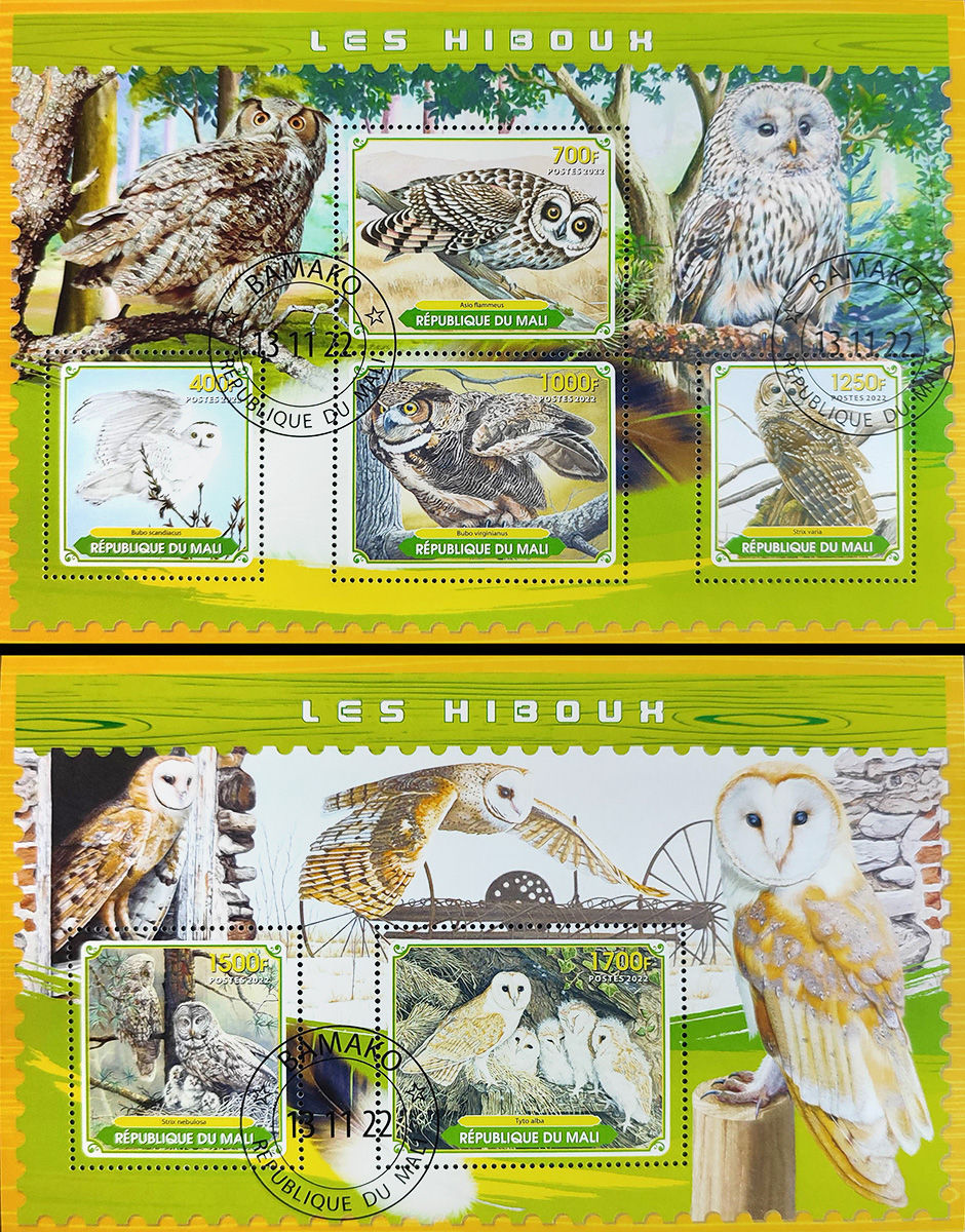 Малі 2022, Птахи Сови