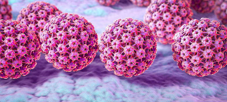 hpv.jpg