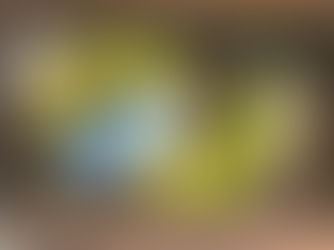 Bottle of Pu Lao Pear Mead surrounded by pears and ginger