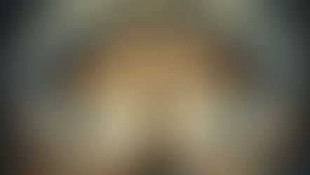 Money tree is radiating in the middle of a beautiful forest with piles of money around the tree.