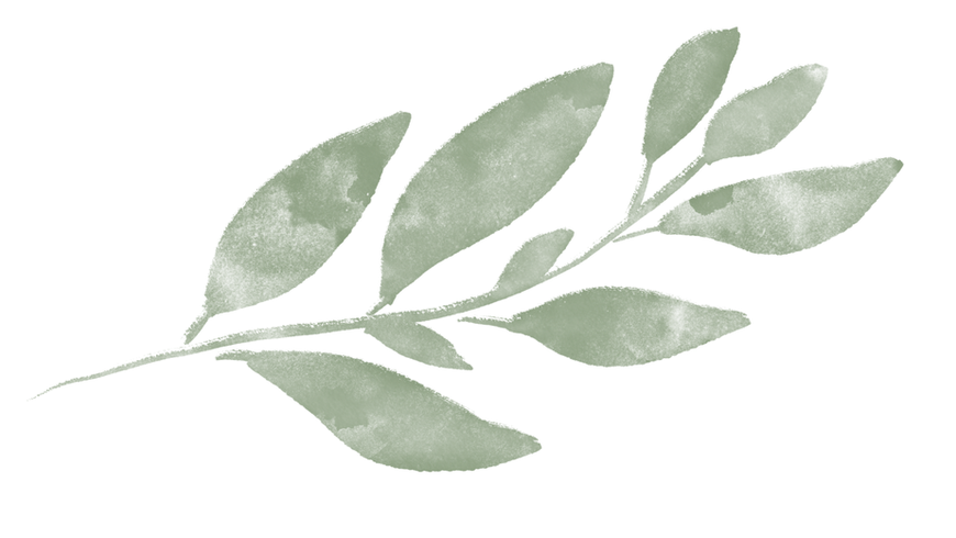 Untitled design b.png