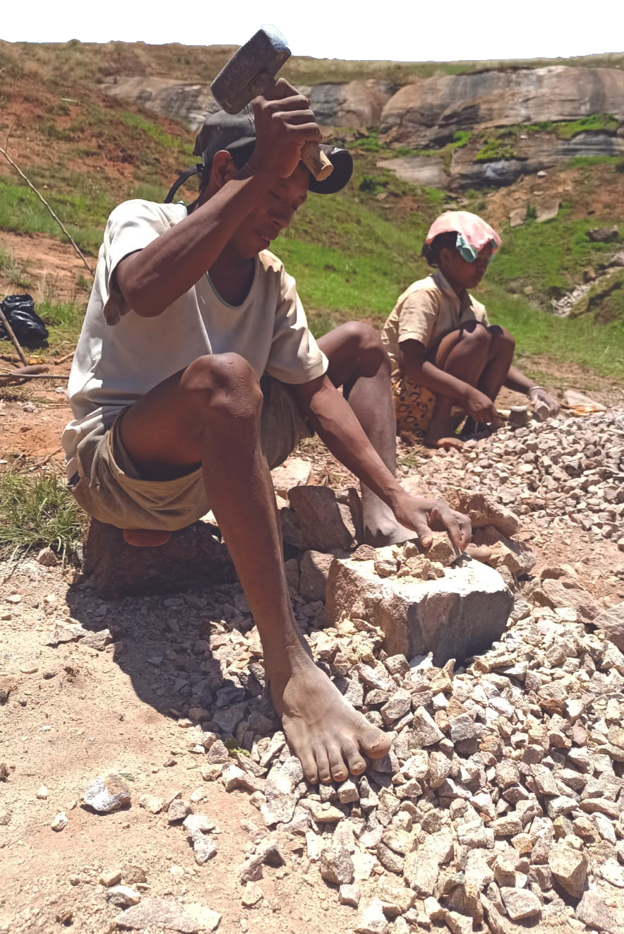 Urgent Call for Action: Saving Ankadibevava’s Elementary School